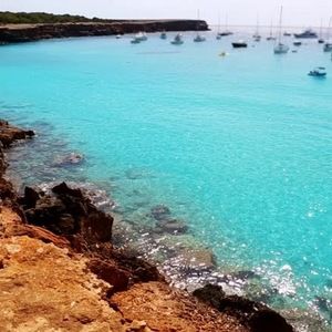 Meet your Posher, Lynda